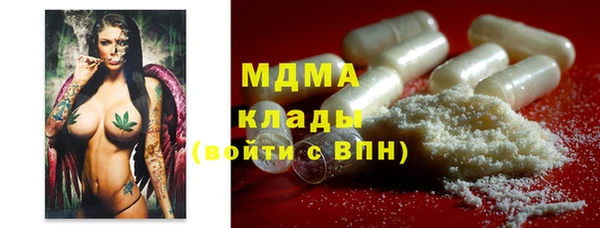 индика Абаза