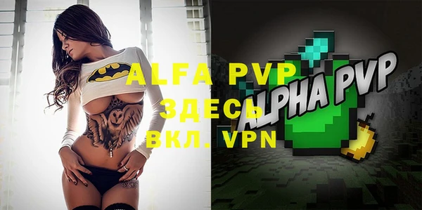 индика Абаза