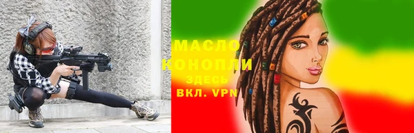 индика Абаза