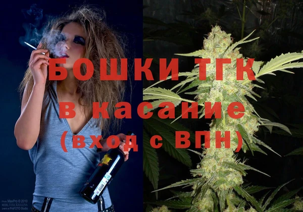 индика Абаза