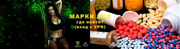 индика Абаза