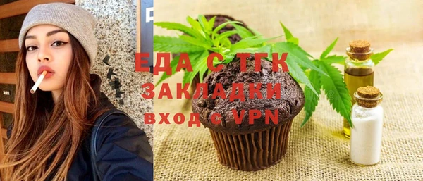 индика Абаза