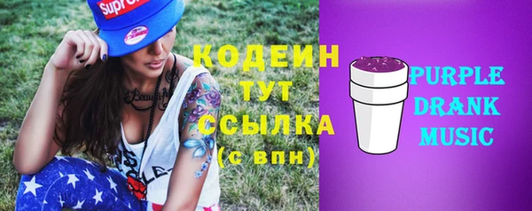 индика Абаза