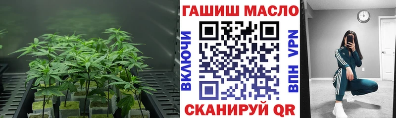 где найти   Красноперекопск  Дистиллят ТГК концентрат 